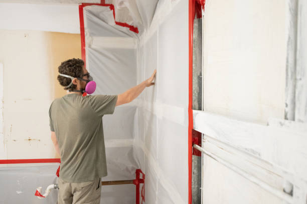 Best Basement Mold Removal  in Roselle Park, NJ