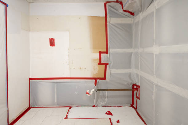Mold Remediation for Rental Properties in Roselle Park, NJ