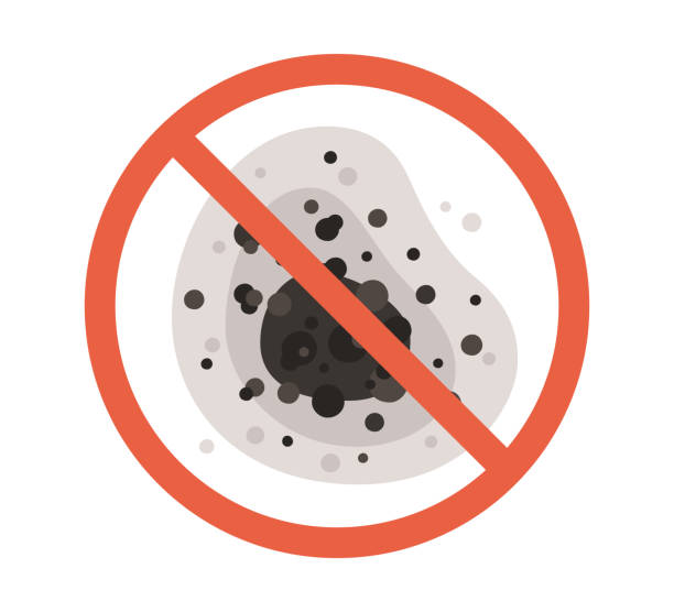 Mold Removal for HVAC Installations in Roselle Park, NJ